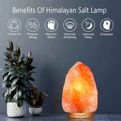 Himalayan Salt Lamp – مصباح ملح الهيمالايا
